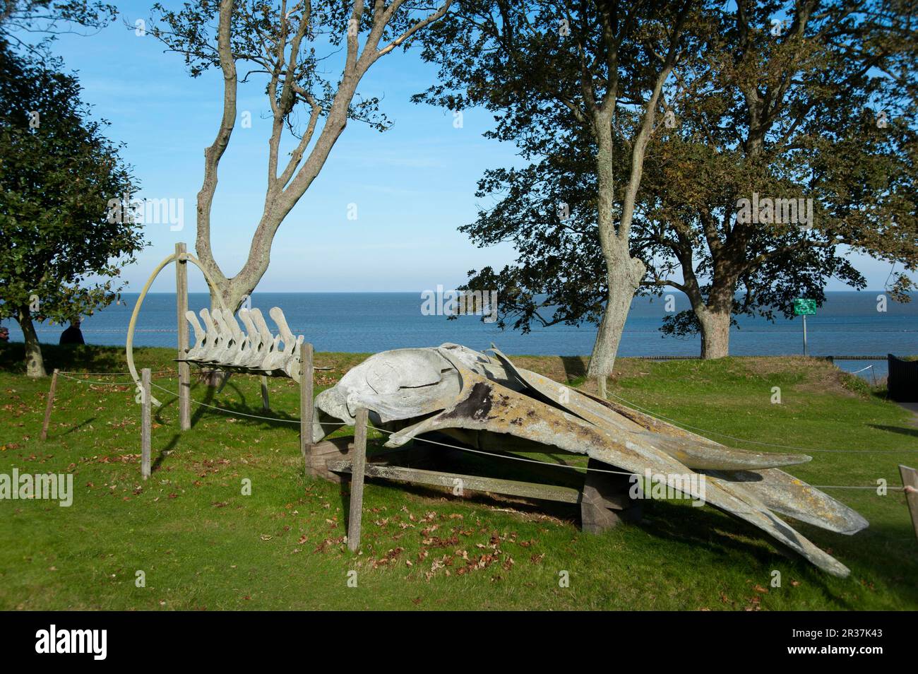 Museum Auf Sylt