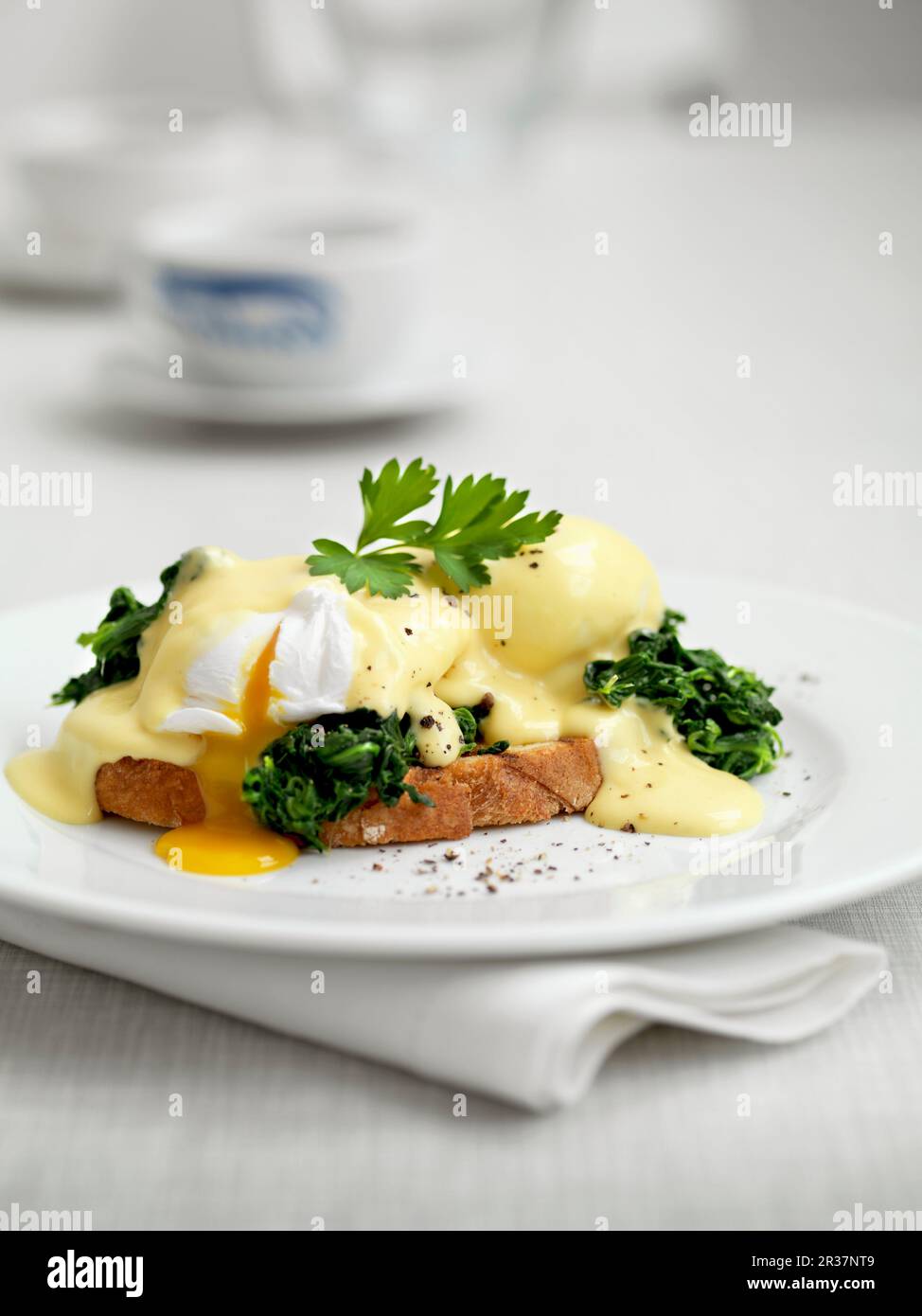 Eggs Benedict on toast Stock Photo Alamy