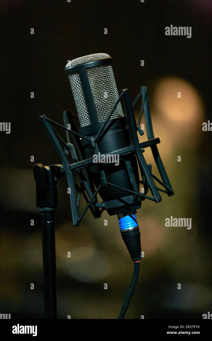 Image of a studio condenser microphone on a microphone stand Stock Photo