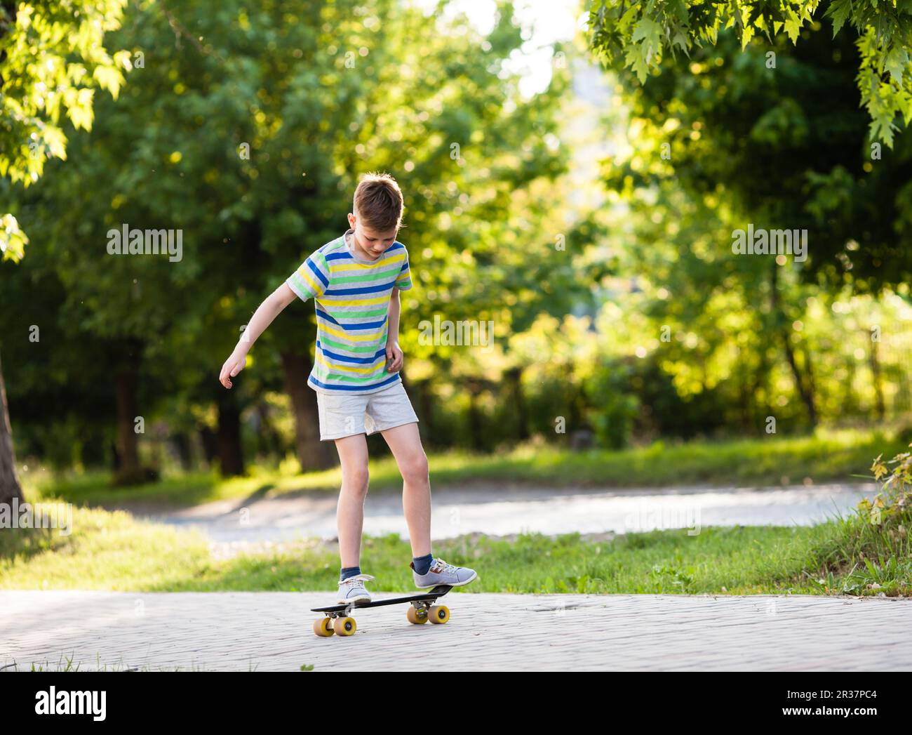 Boy in crouched position riding a skateboard at the park Stock Photo ...