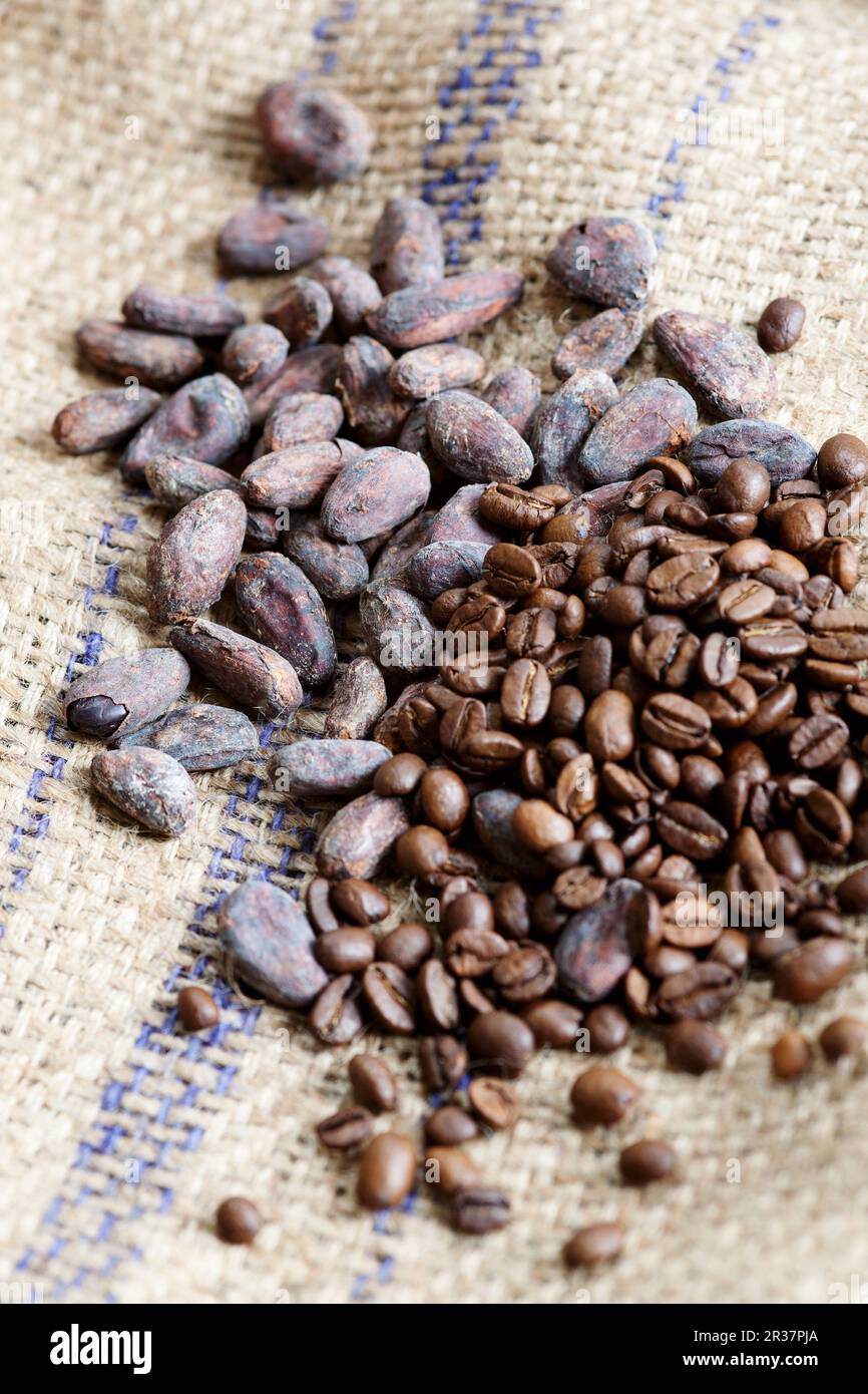 Cocoa beans and coffee beans Stock Photo Alamy