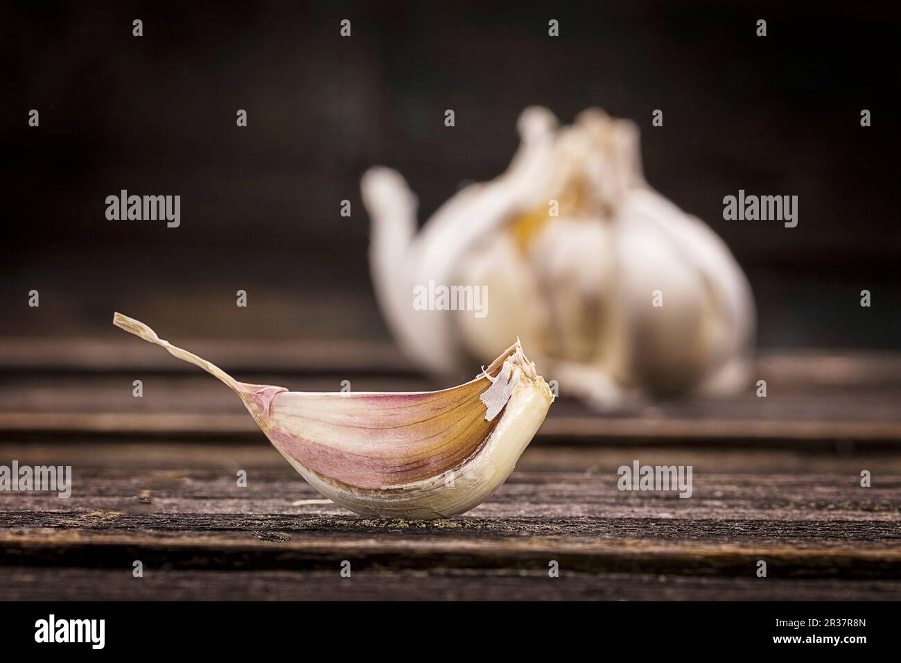 A single garlic clove in front of a bulb of garlic Stock Photo - Alamy