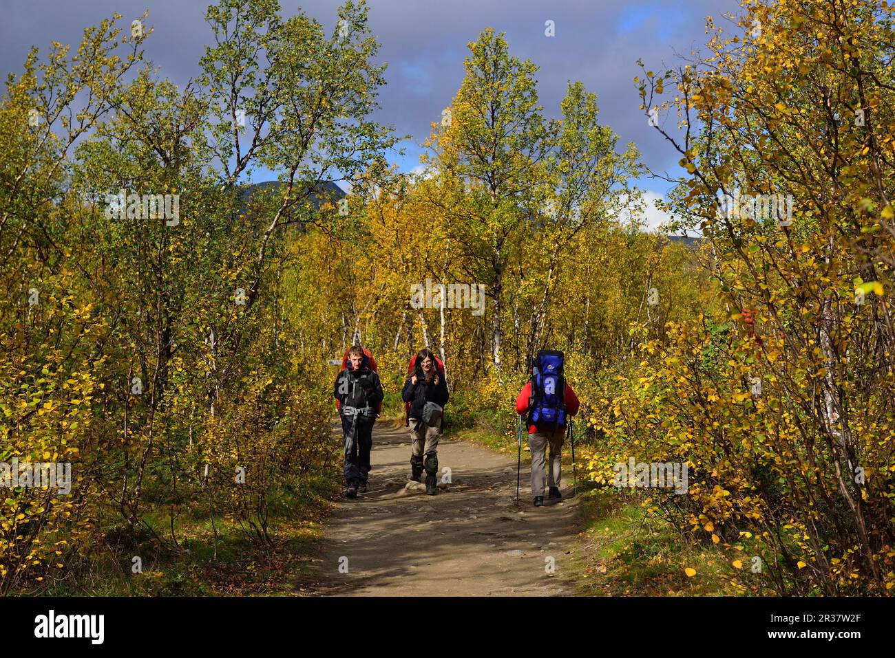 Trekking Nikkaluokta, Kebnekaise Fjaellstation, Lapland, Sweden2 Stock Photo