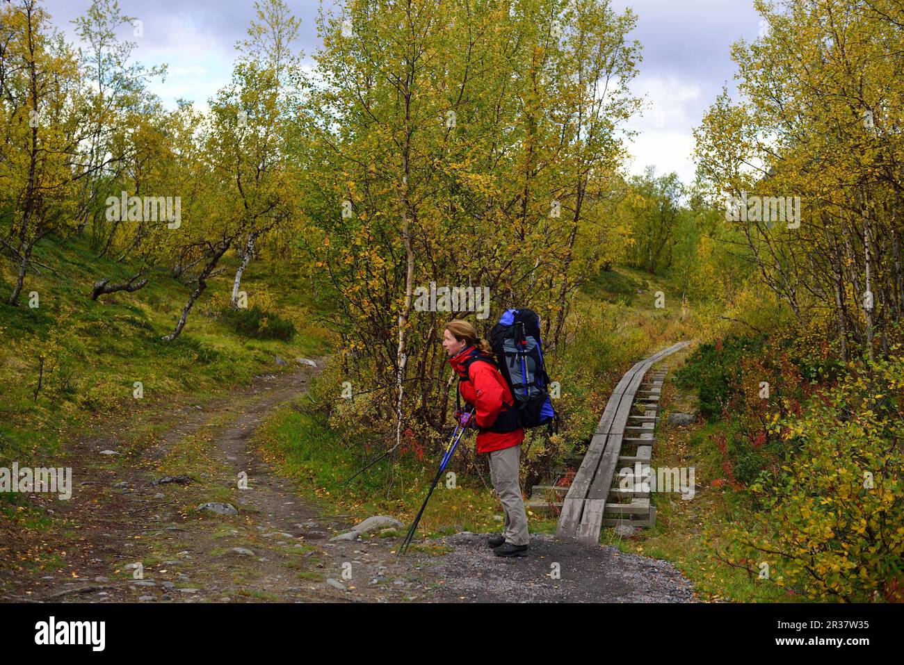 Trekking Nikkaluokta, Kebnekaise Fjaellstation, Lapland, Sweden2 Stock Photo