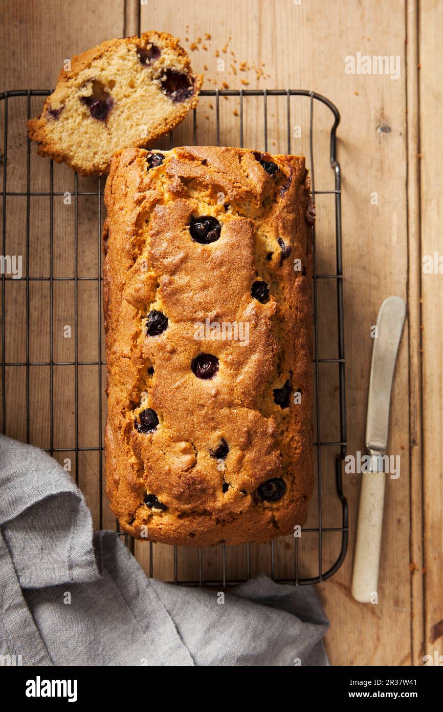 A sliced blueberry loaf cake on a wire cooling rack (seen from above ...