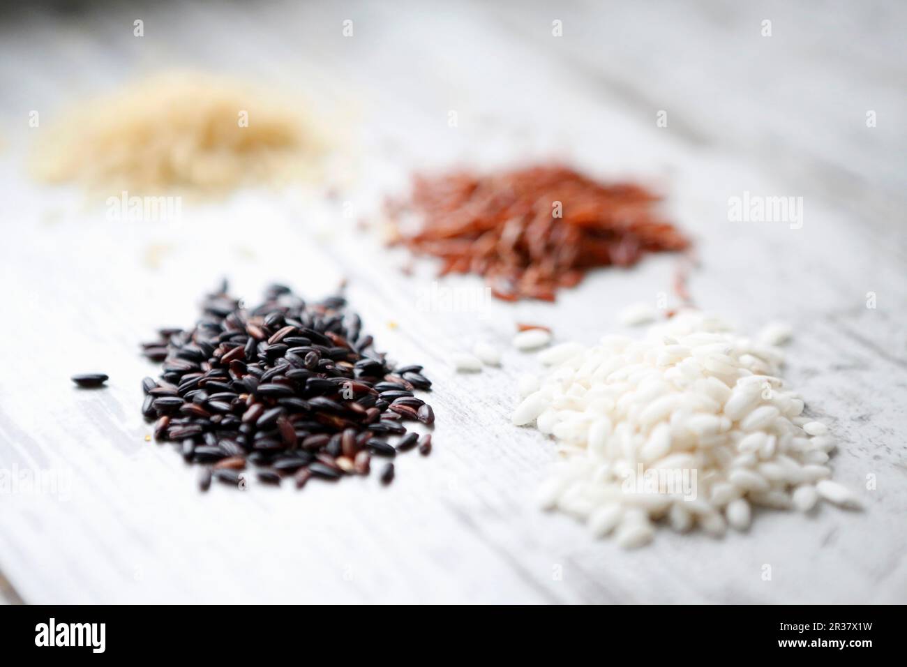 Four piles of different types of rice Stock Photo Alamy