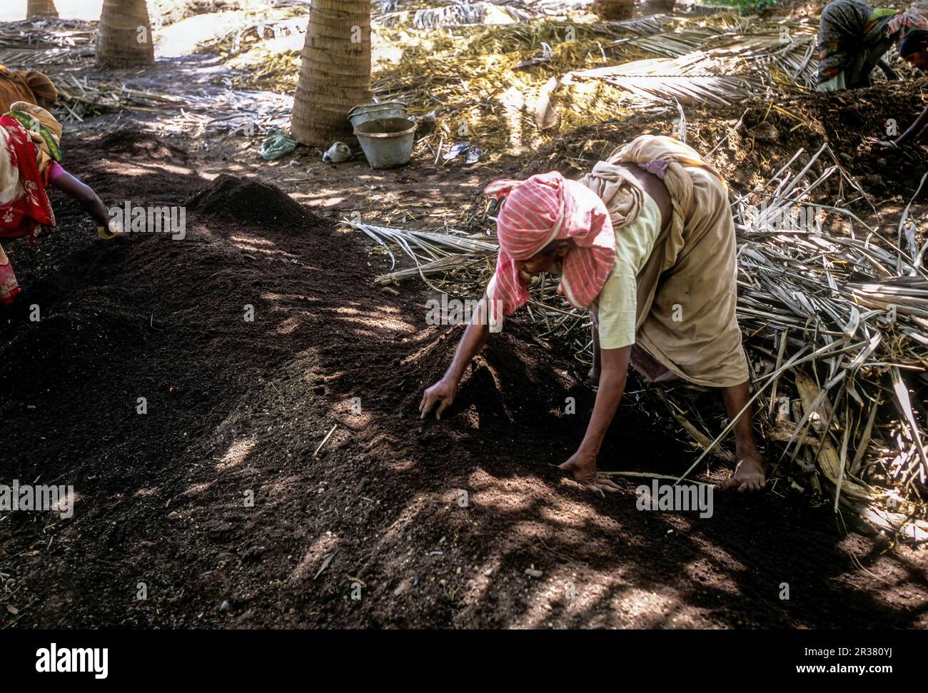 Organic farming workers in a Vermi Compost Yard at Tamil Nadu, South