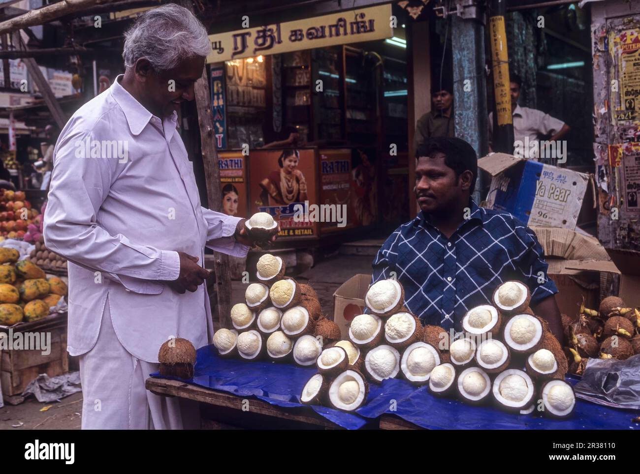 Germinating coconuts coconut flowers for sale at Chennai Madras, Tamil