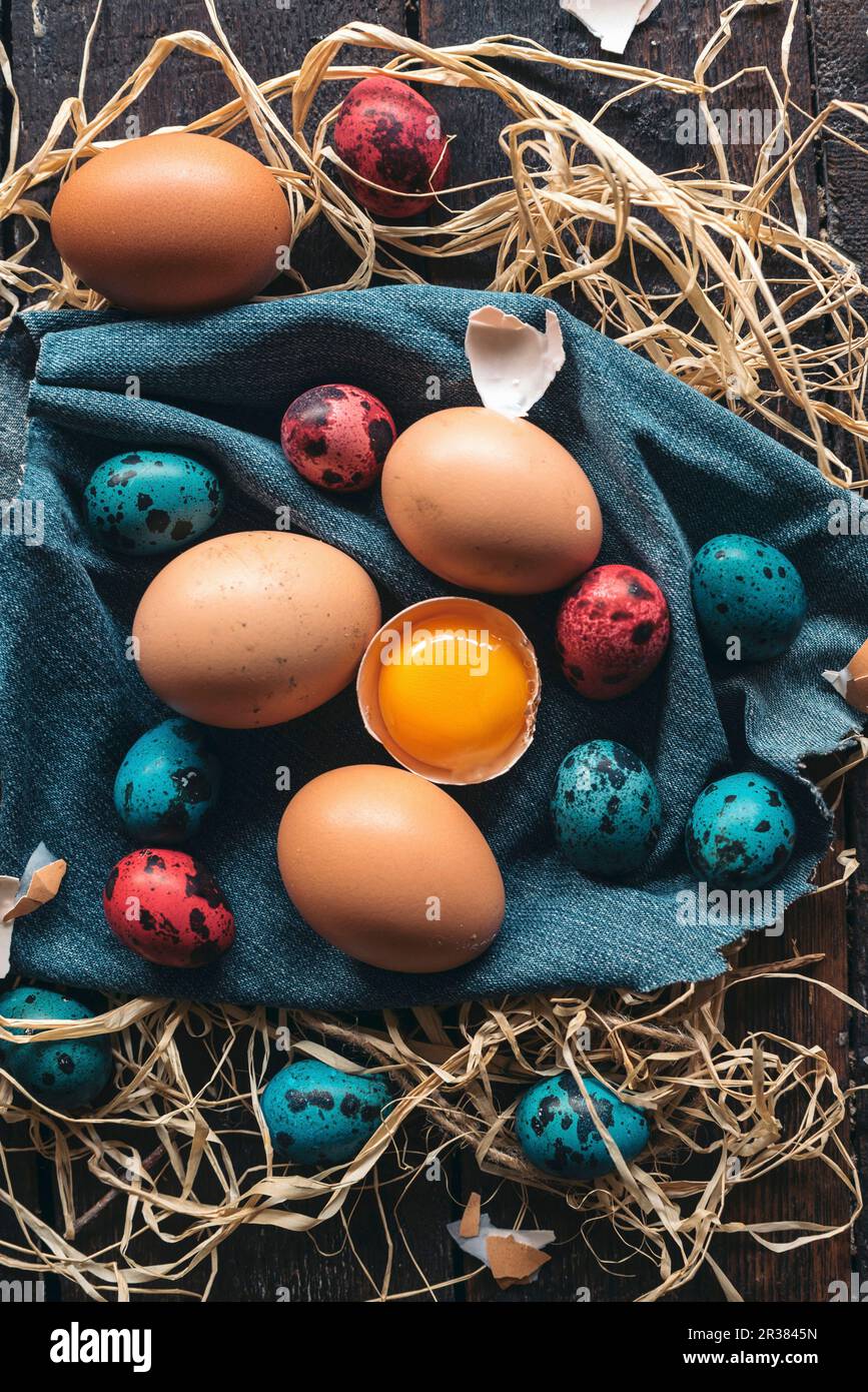 Colorful Easter eggs on wooden background Stock Photo