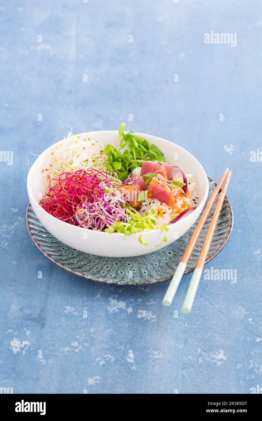 A Poke bowl with sprouts and tuna Stock Photo Alamy