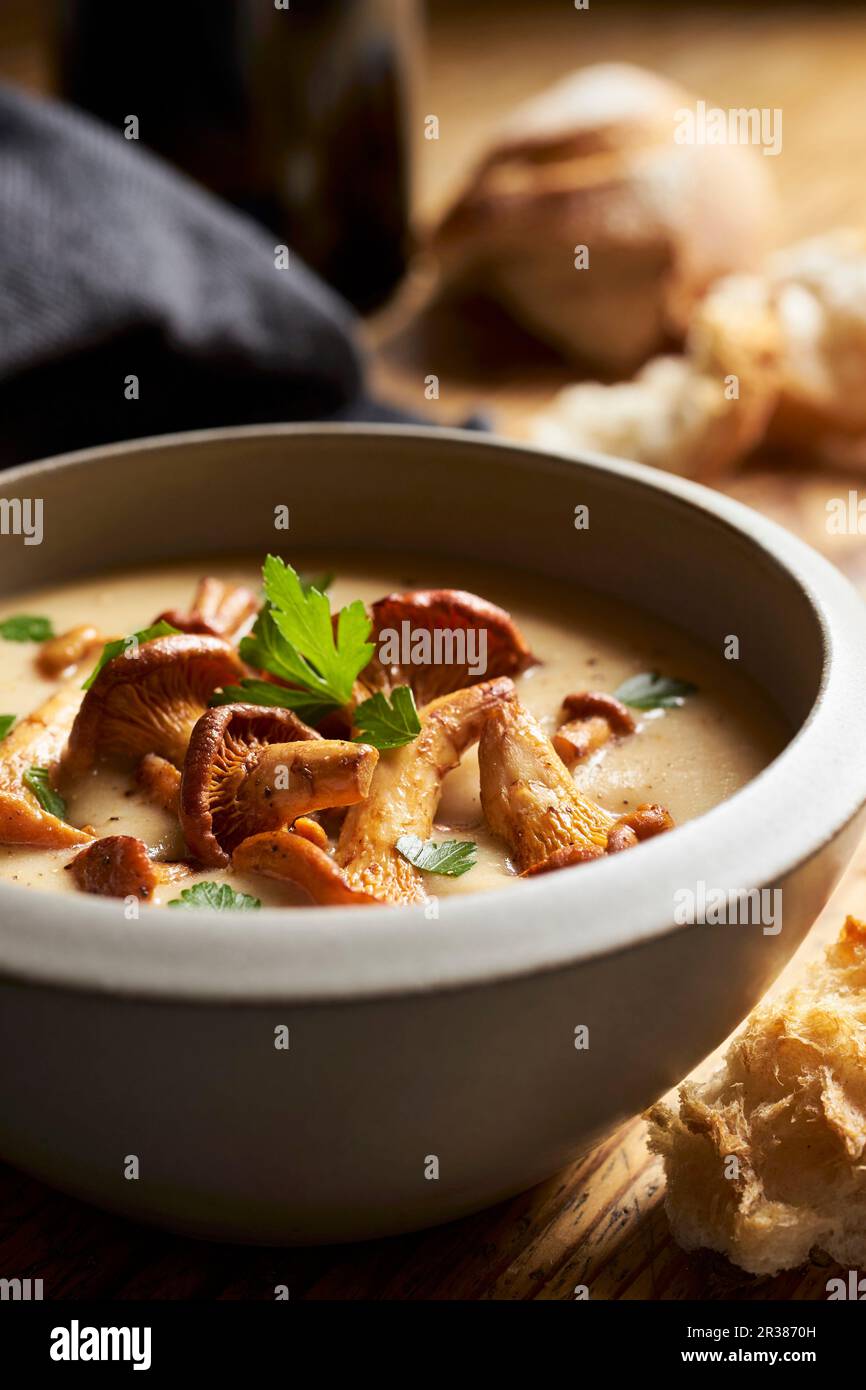 Small chanterelle hires stock photography and images Alamy