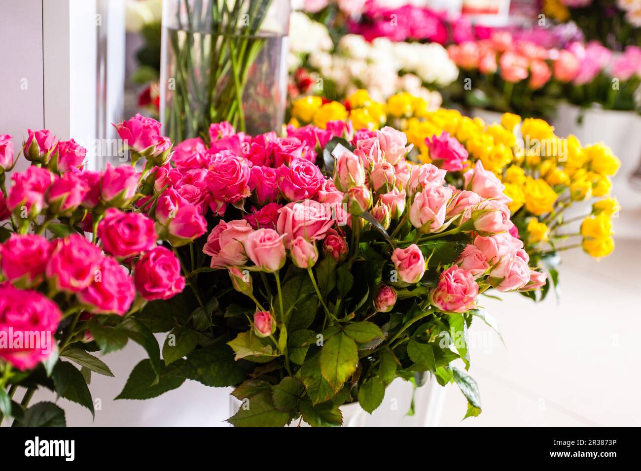 Collection of beautiful roses for sale at a floristic shop Stock Photo