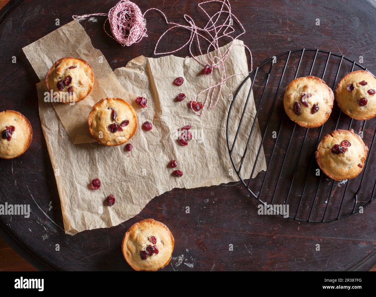 Freshly baked cranberry muffins cooling on rack and parchment paper Stock Photo