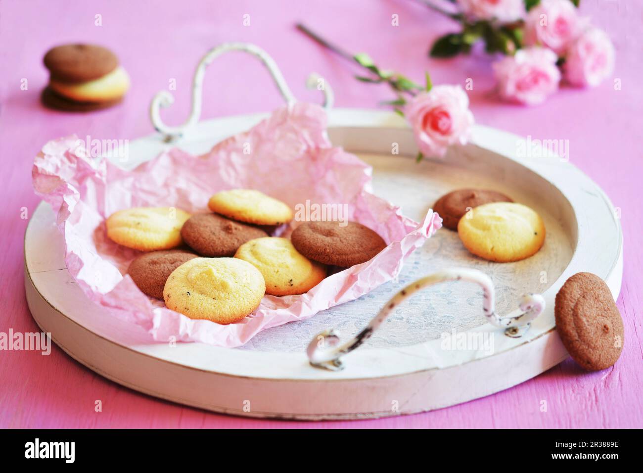 Light and dark biscuits on a white tray Stock Photo