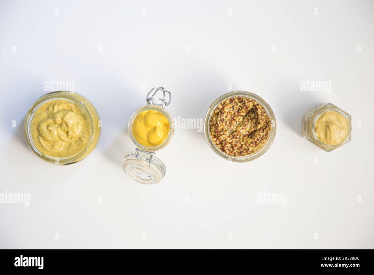 Four mustard varieties (granary mustard, yellow mustard, dijon mustard