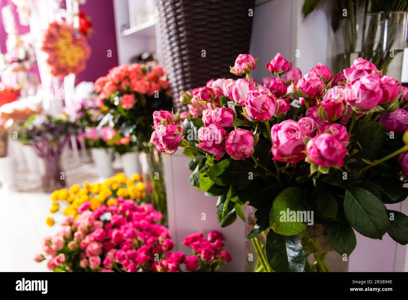 Collection of beautiful roses for sale at a floristic shop Stock Photo