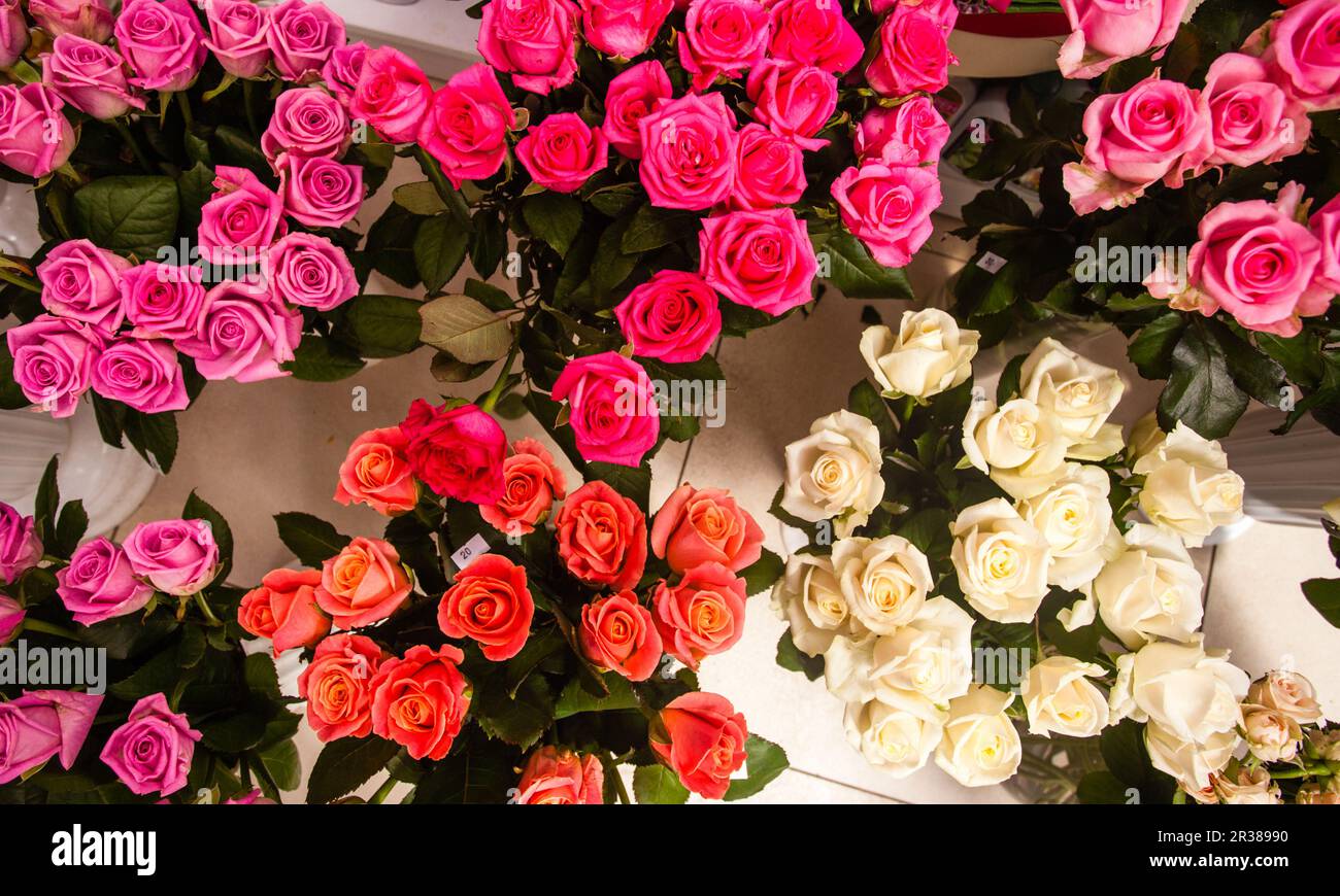 Bouquets roses at a florist's shop Stock Photo