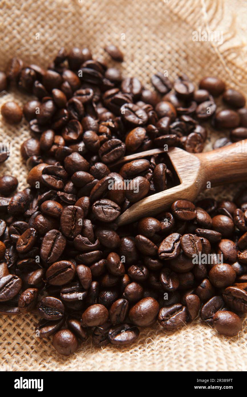 Coffee beans with a mini wooden scoop on a hessian sack Stock Photo - Alamy