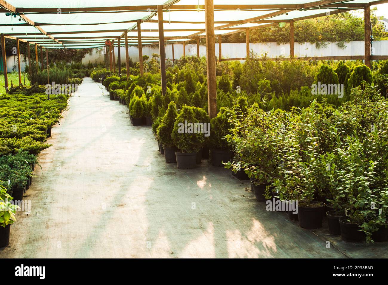 Market garden greenhouse hires stock photography and images Alamy