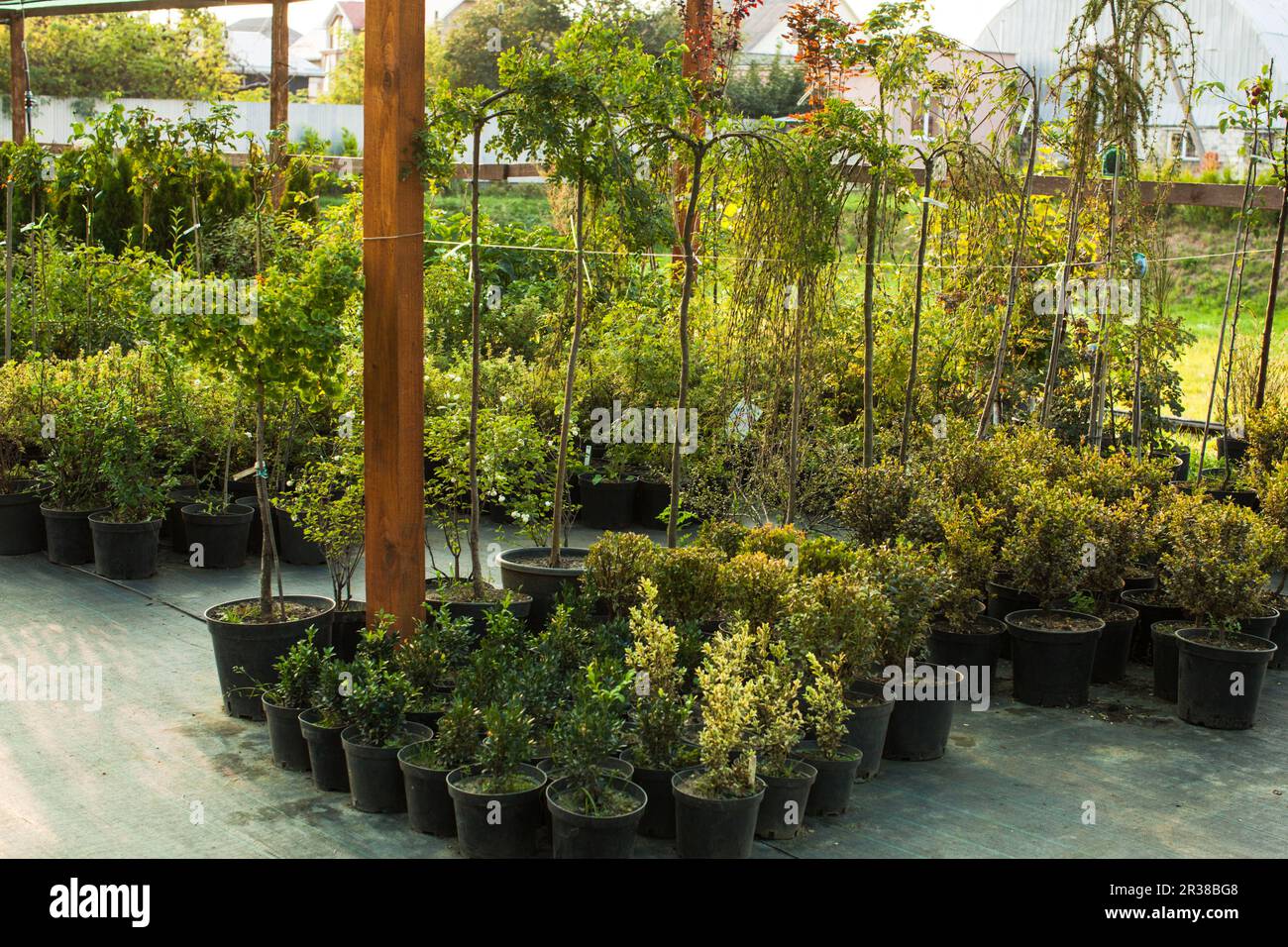 Market garden greenhouse hires stock photography and images Alamy