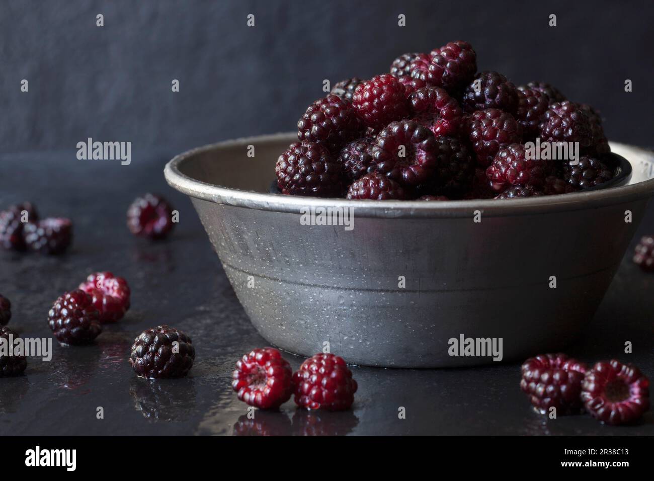 Freshly Picked Wild Black Raspberries in a Metal Bowl on Slate Stock Photo