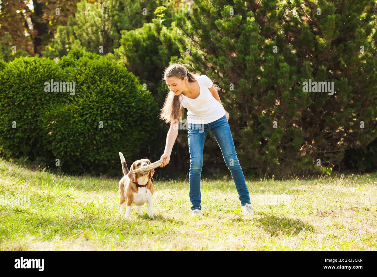 Girl plays with a dog in the yard Stock Photo - Alamy