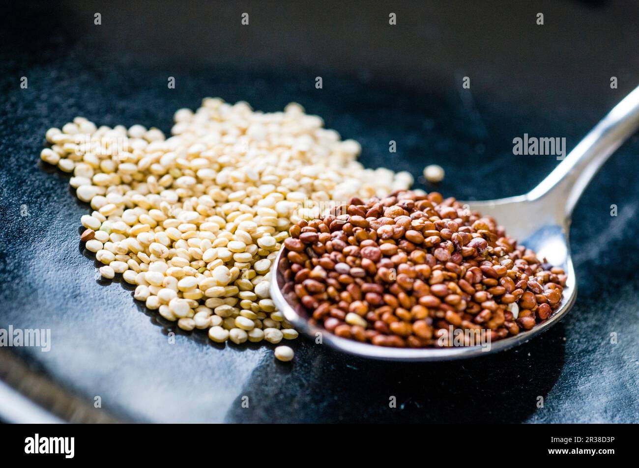 Two different types of quinoa Stock Photo Alamy