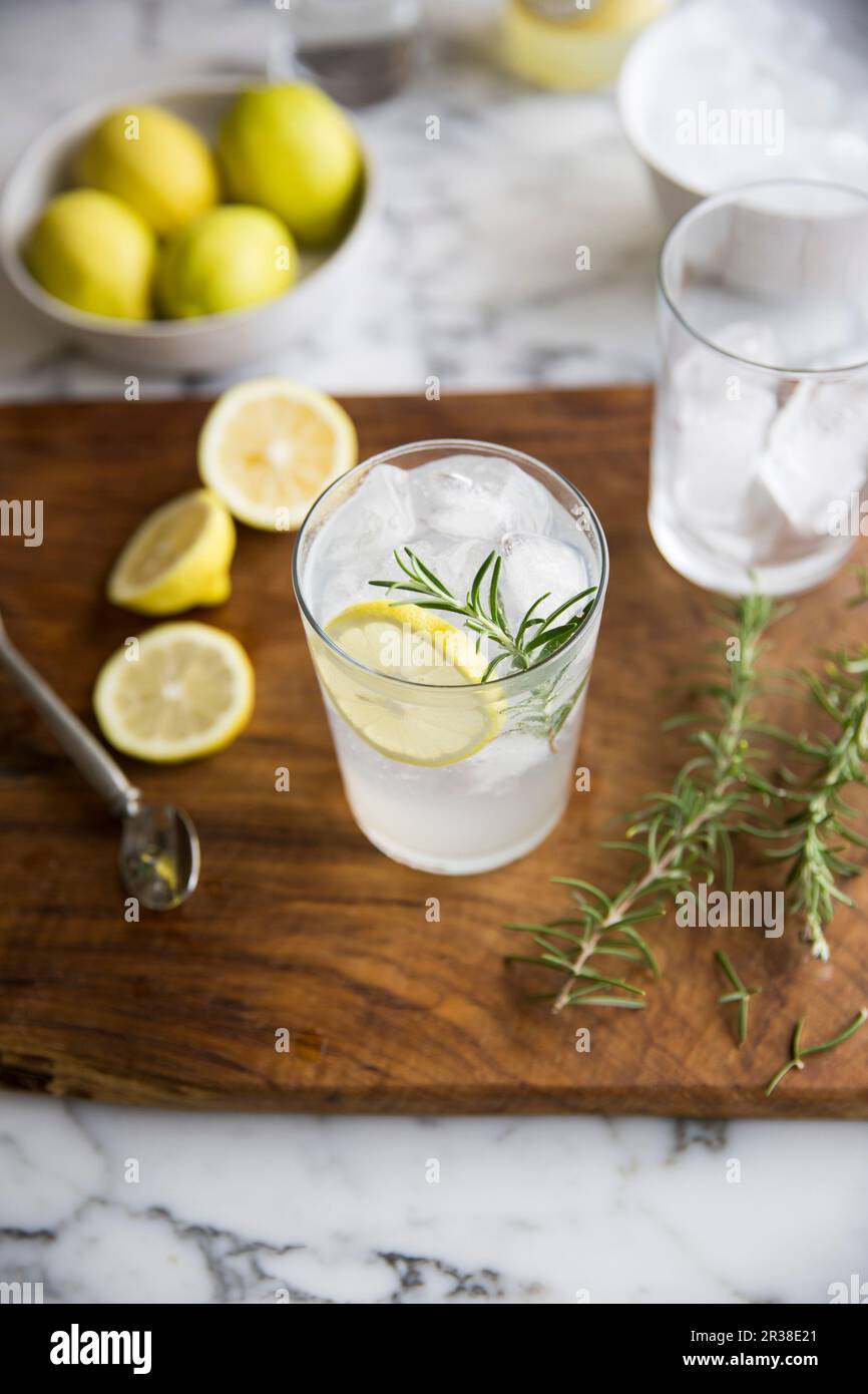 Gin and tonic with lemon and rosmeary Stock Photo Alamy