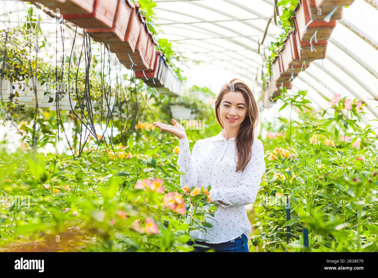 Worker woman standing in a greenhouse Stock Photo - Alamy
