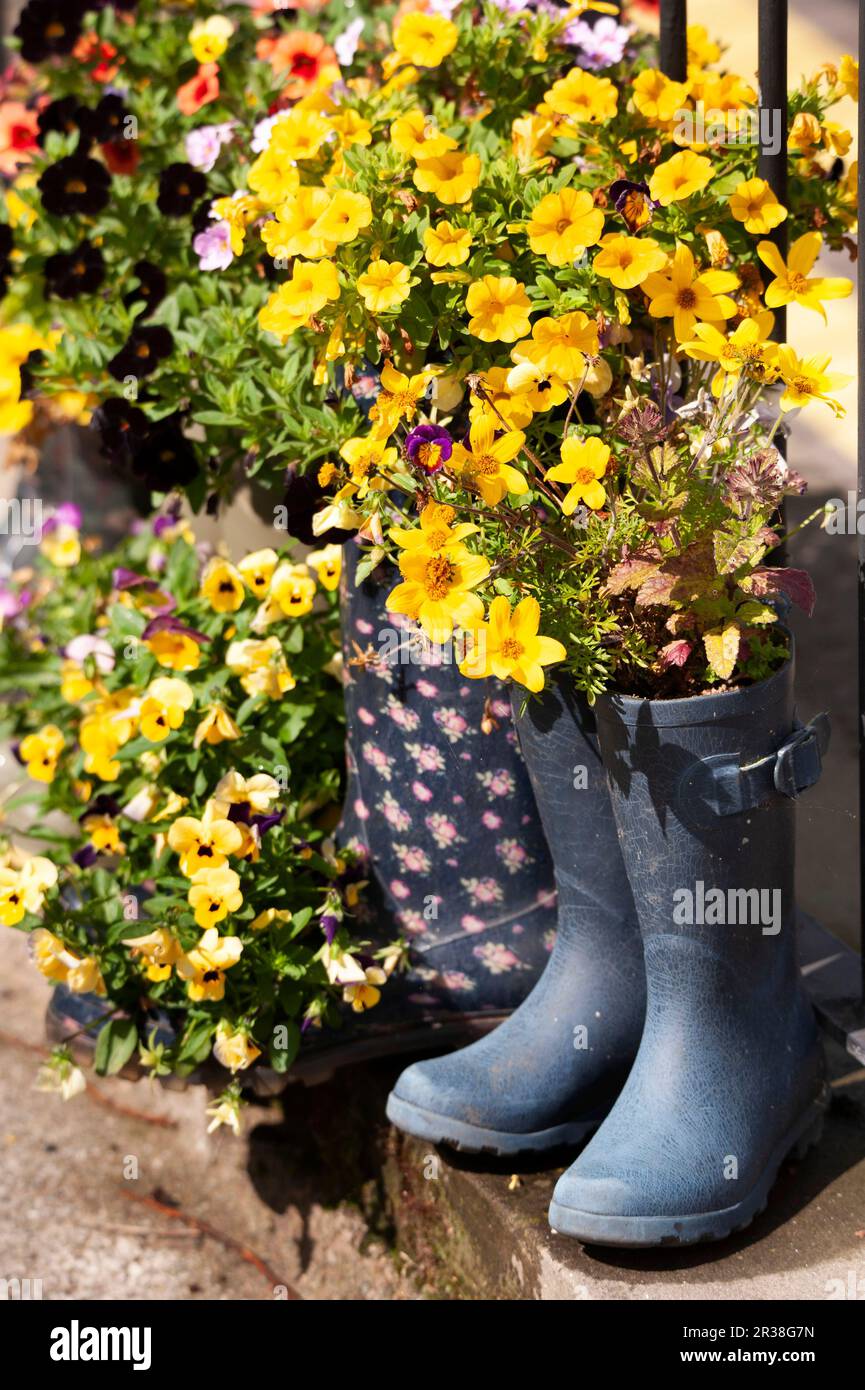 Planted flowers in boots hi-res stock photography and images - Alamy
