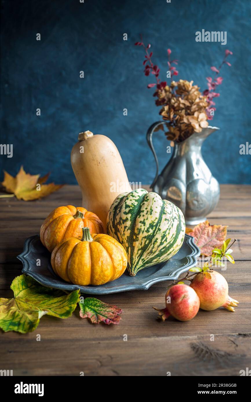 Assorted pumpkins hi-res stock photography and images - Alamy