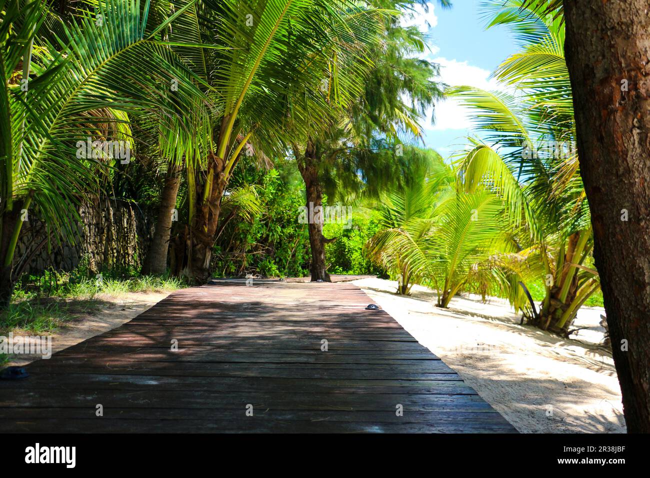 Vlogger paradise hi-res stock photography and images - Alamy