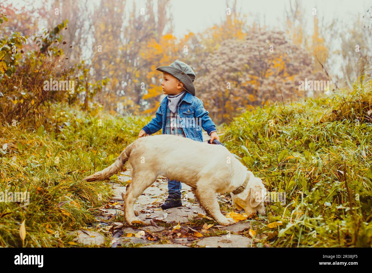 Boy with golden retriever puppy Stock Photo - Alamy