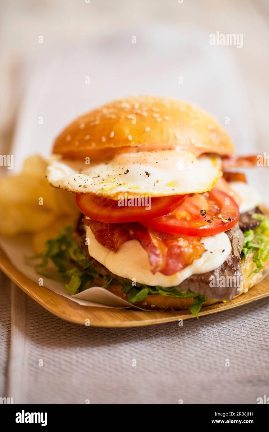 Steak Sandwich with fried egg Stock Photo - Alamy