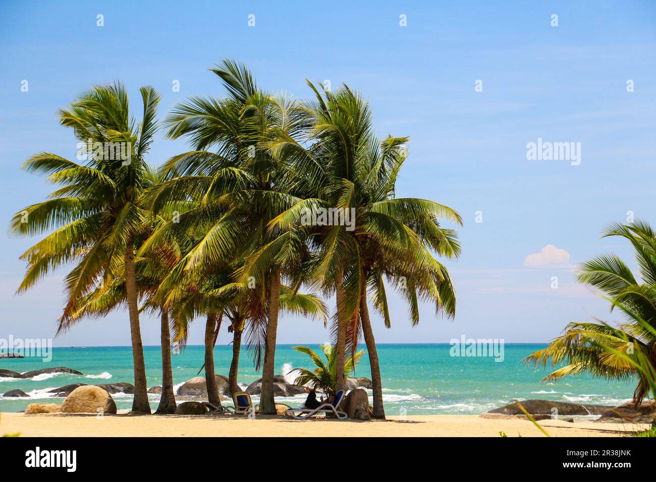 Vlogger paradise hi-res stock photography and images - Alamy