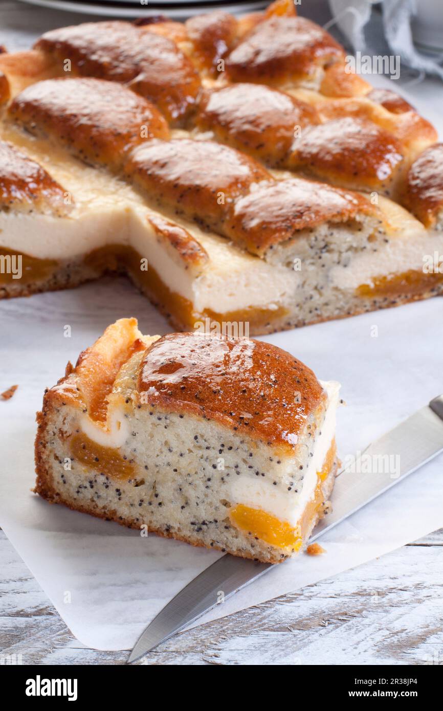 Cake with poppy seeds cheese and apricot Stock Photo Alamy