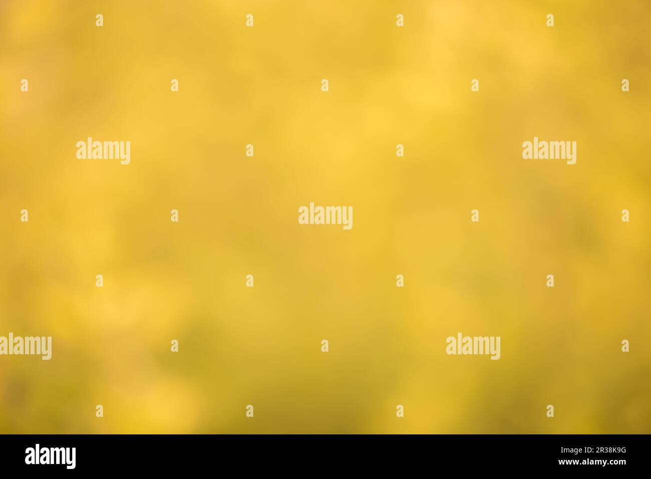 Green natural plants hi-res stock photography and images - Alamy