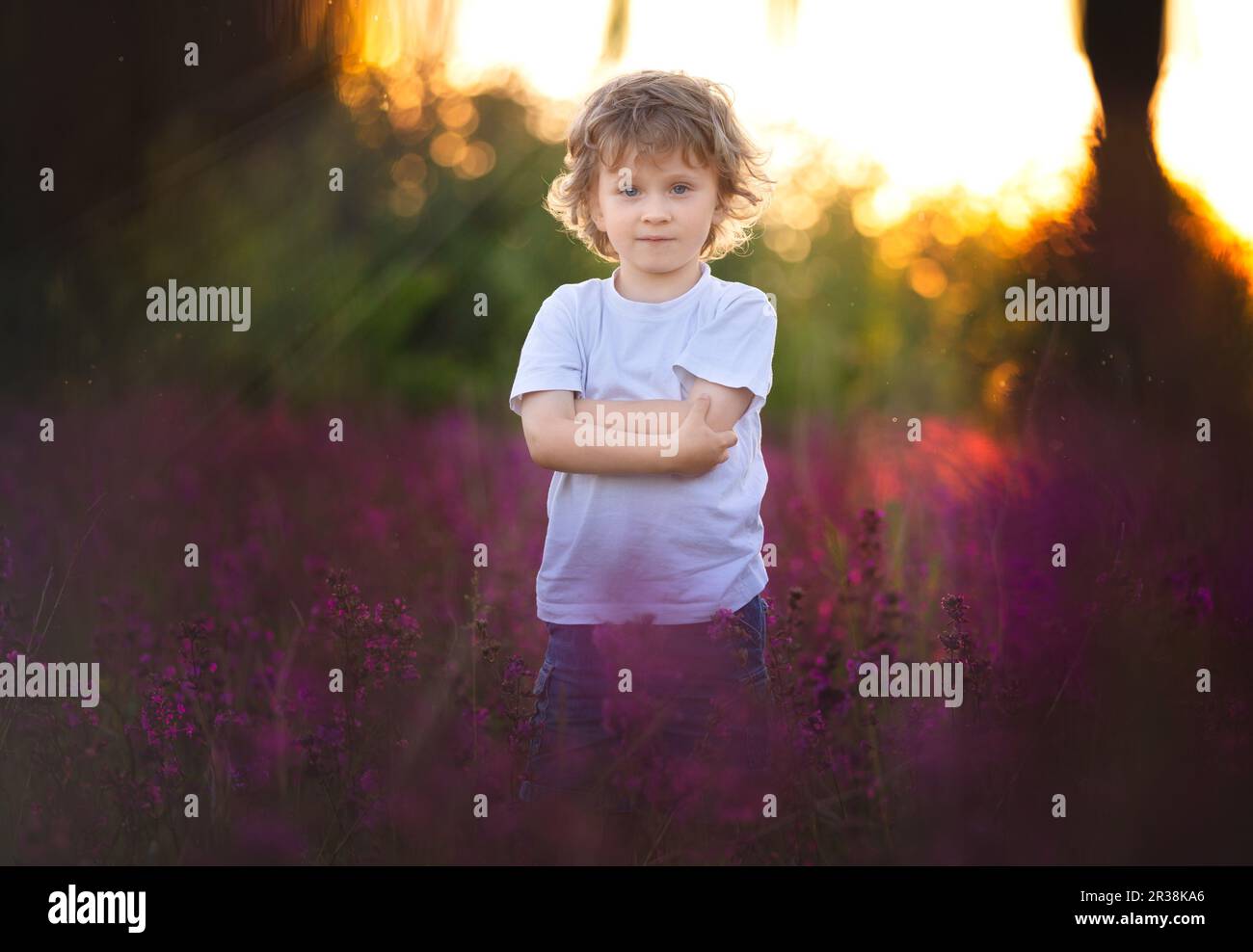 Handscome boy standing in red wildflowers. Serious face and curly hair. Stock Photo
