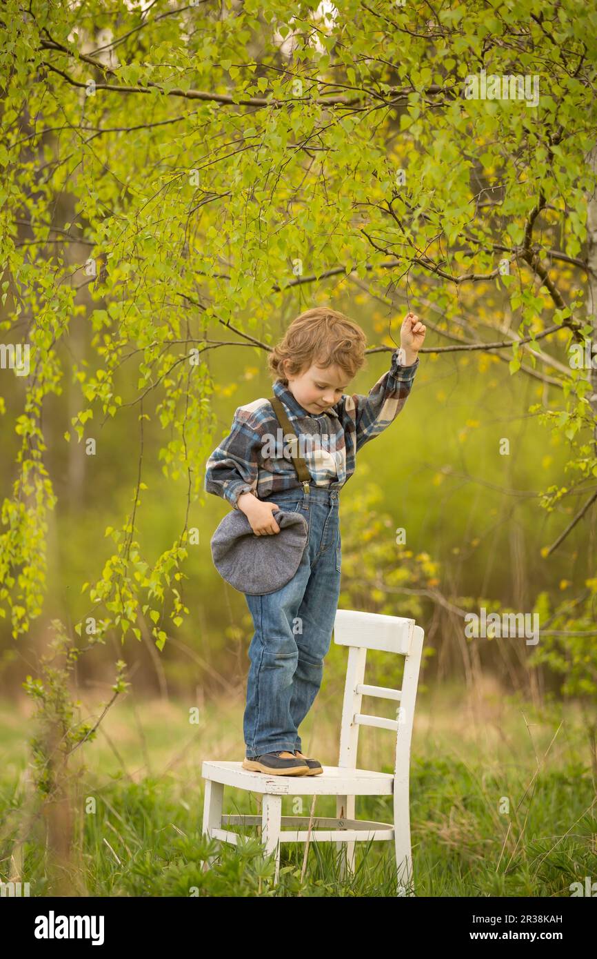 Young blonde boy standing on white old chair under birch tree in outdoor. Stock Photo