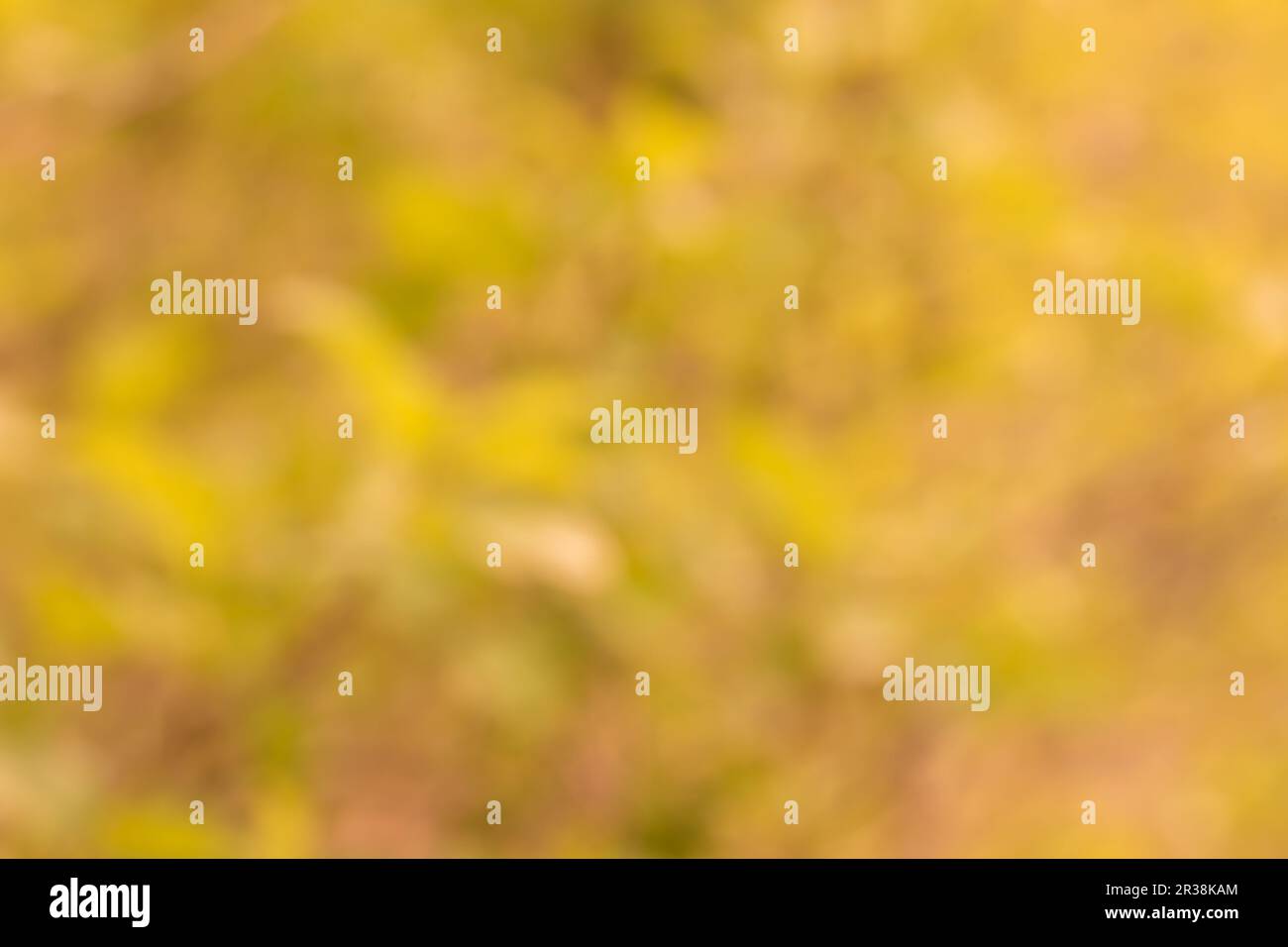 Green bokeh backdrop hi-res stock photography and images - Alamy