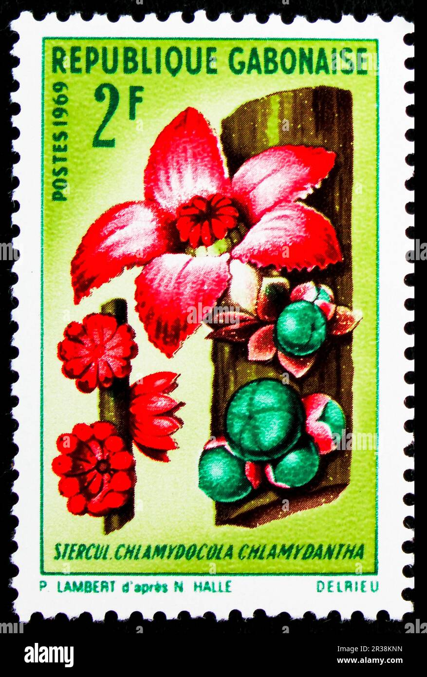 MOSCOW, RUSSIA - MAY 18, 2023: Postage stamp printed in Gabon shows Chlamydocola chlamydantha, African Plants serie, circa 1969 Stock Photo