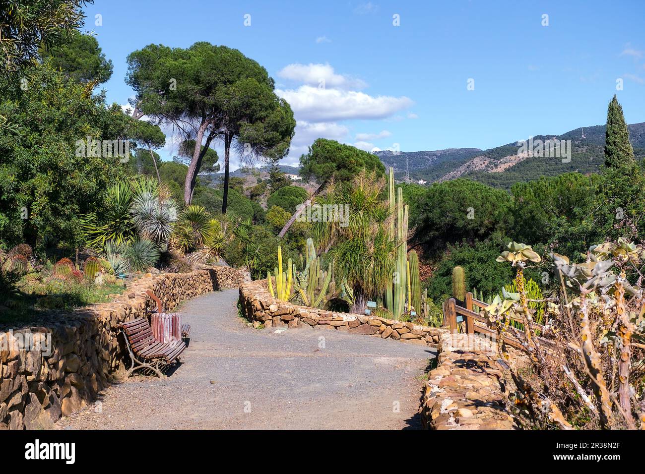 Conception garden, jardin la concepcion in Malaga (Spain) Stock Photo
