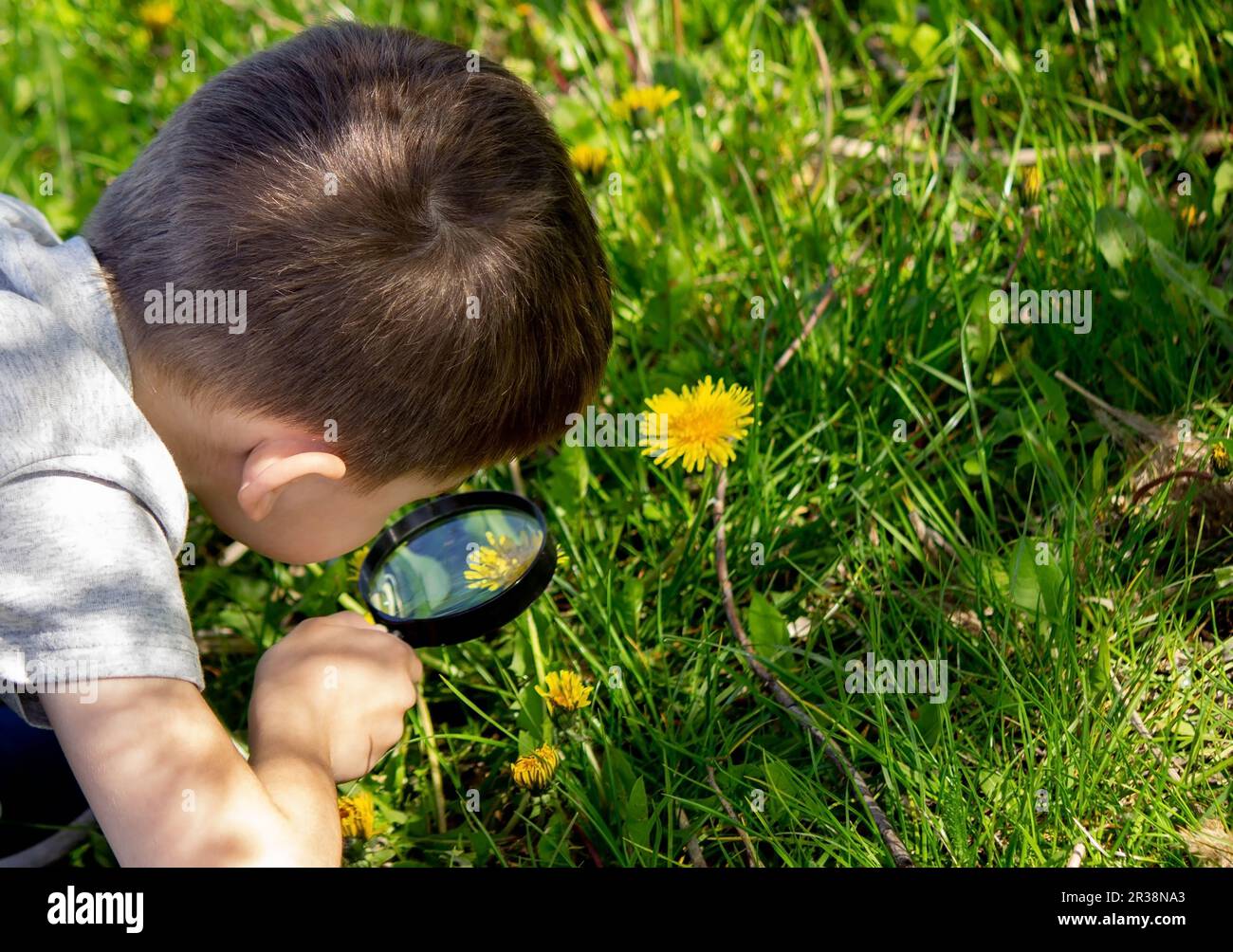 the boy looks at the flower through a magnifying glass. selective focus Stock Photo