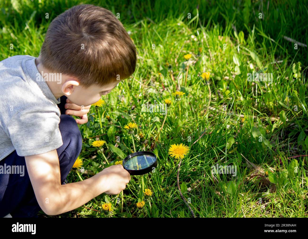 the boy looks at the flower through a magnifying glass. selective focus Stock Photo