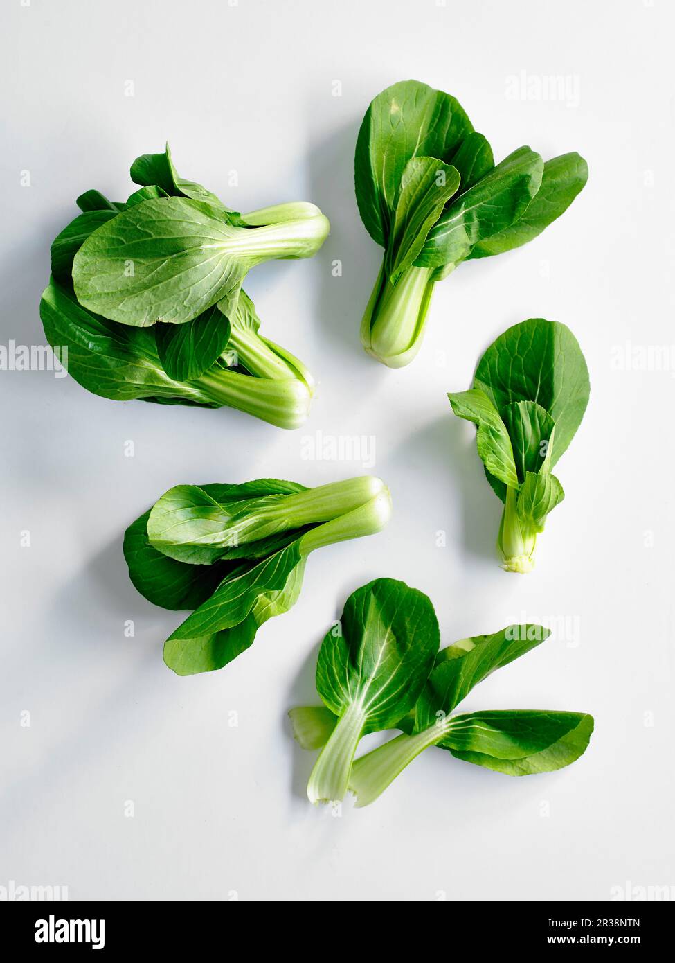 Baby Pak Choi Stock Photo - Alamy
