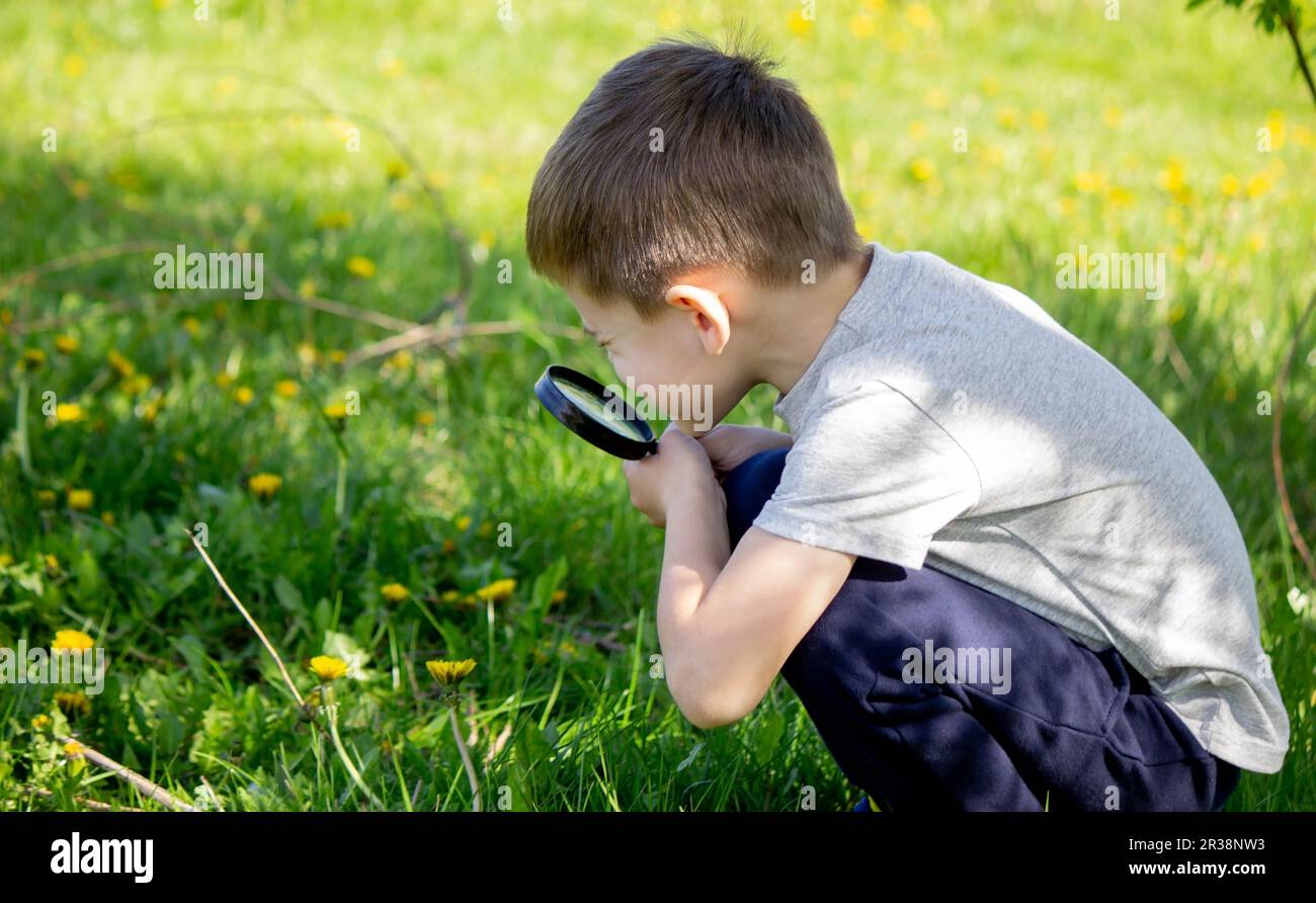 the boy looks at the flower through a magnifying glass. selective focus Stock Photo