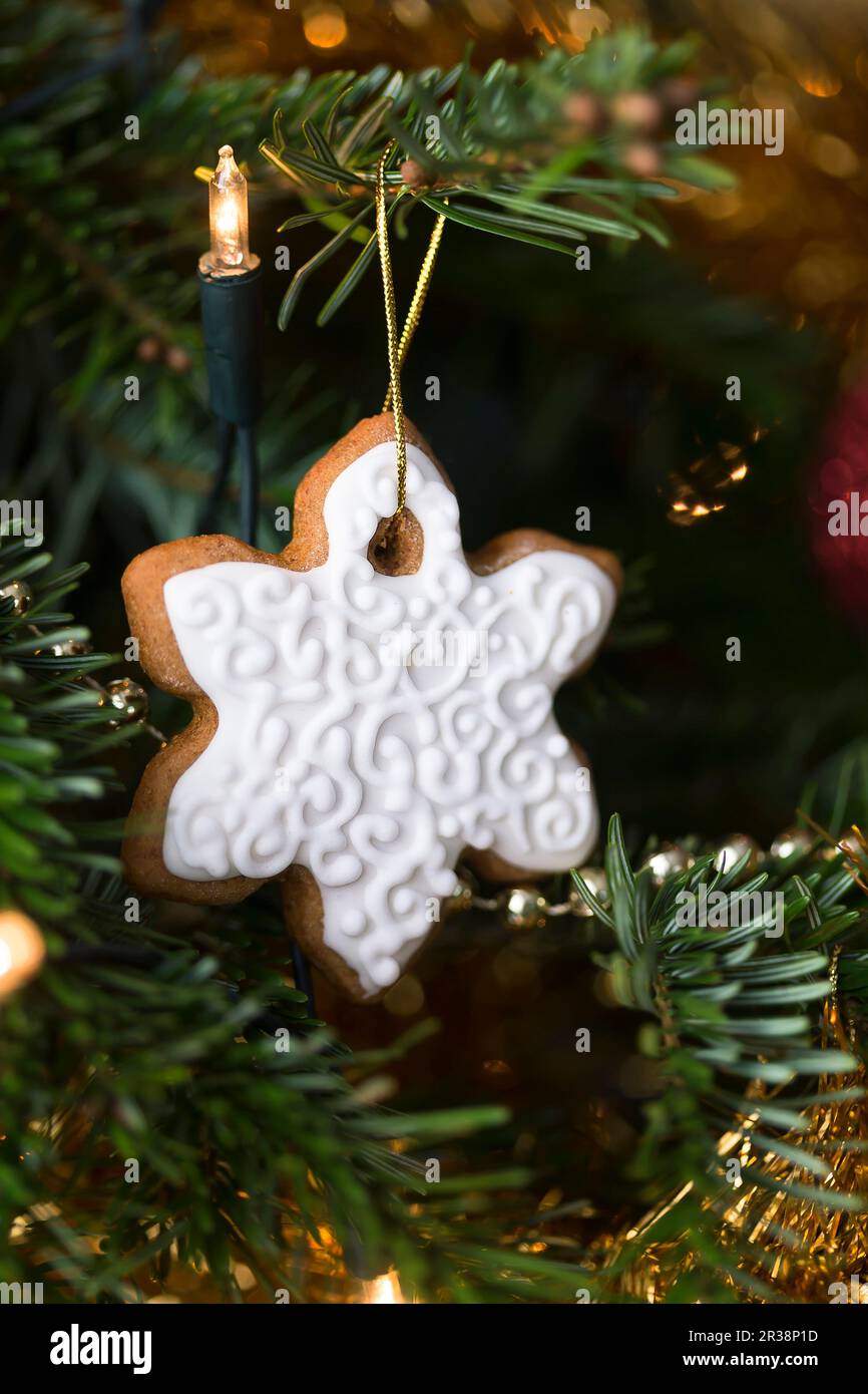 Gingerbread snowflake cookie hanging on a christmas tree Stock Photo