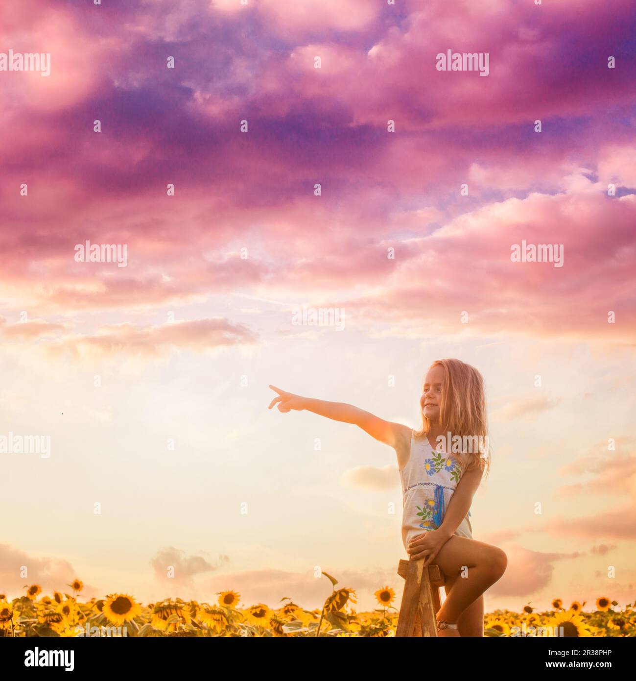 The girl looks around the sunflower field Stock Photo