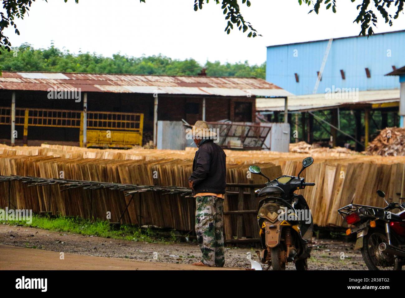 wood factory Stock Photo