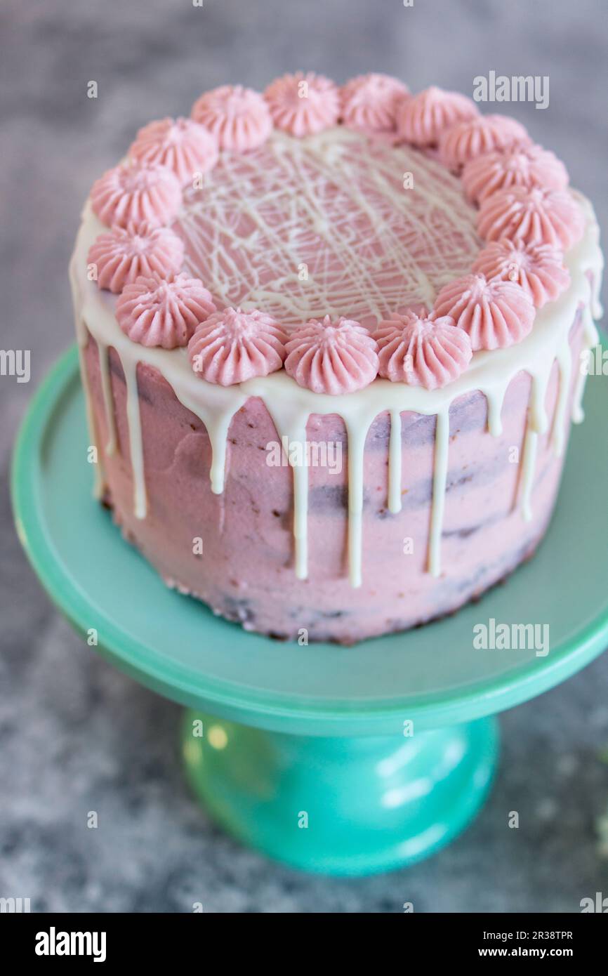 Chocolate cake with pink frosting Stock Photo Alamy